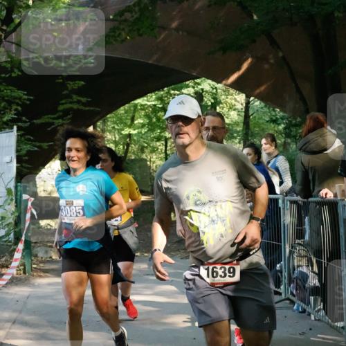 28.09.2025 - 33. Volkslauf durch das schöne Alstertal Fabian Wolf http://msf.ph/oto/8977972 28.09.2025 11:55:59 Laufen 3085, 36, 10, 1639 meine-sportfotos.de