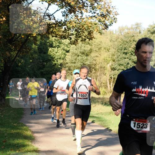 28.09.2025 - 33. Volkslauf durch das schöne Alstertal Fabian Wolf http://msf.ph/oto/8978080 28.09.2025 10:03:55 Laufen 1571, 1541, 1557, 1523, 33 meine-sportfotos.de