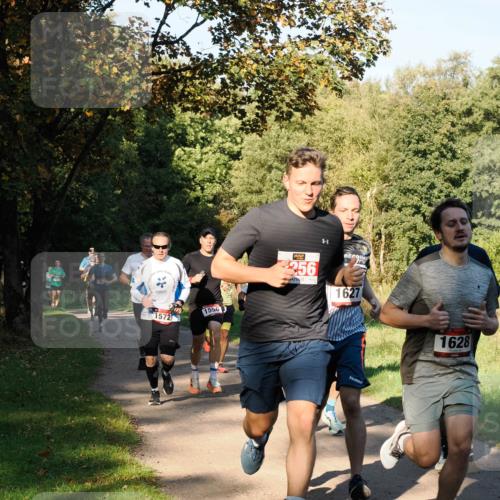 28.09.2025 - 33. Volkslauf durch das schöne Alstertal Fabian Wolf http://msf.ph/oto/8978085 28.09.2025 10:04:01 Laufen 1017, 1572, 1556, 256, 1627, 1628 meine-sportfotos.de