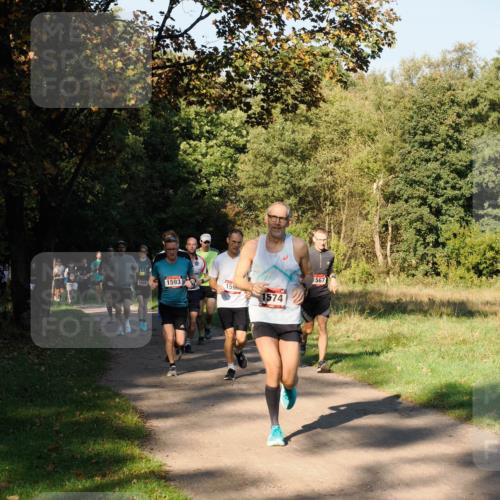 28.09.2025 - 33. Volkslauf durch das schöne Alstertal Fabian Wolf http://msf.ph/oto/8978126 28.09.2025 10:04:17 Laufen 0, 2, 5, 1567, 10081, 1593, 1596, 1574 meine-sportfotos.de