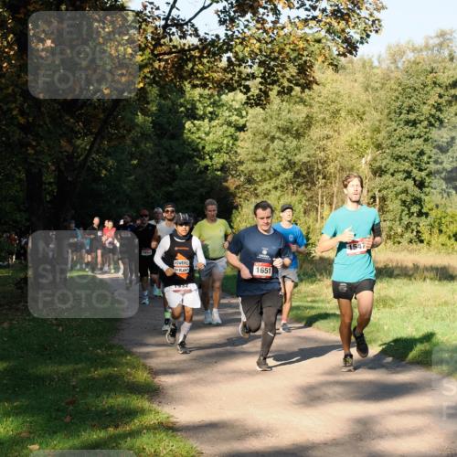 28.09.2025 - 33. Volkslauf durch das schöne Alstertal Fabian Wolf http://msf.ph/oto/8978144 28.09.2025 10:04:28 Laufen 1612, 1653, 1651, 1547 meine-sportfotos.de