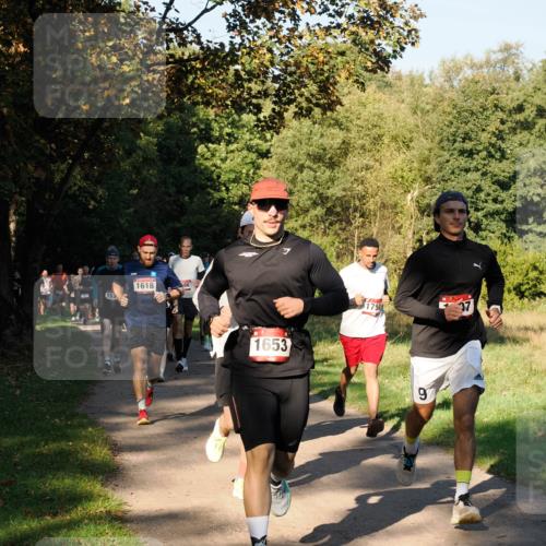 28.09.2025 - 33. Volkslauf durch das schöne Alstertal Fabian Wolf http://msf.ph/oto/8978156 28.09.2025 10:04:34 Laufen 153, 1618, 86, 1653, 1750, 9 meine-sportfotos.de