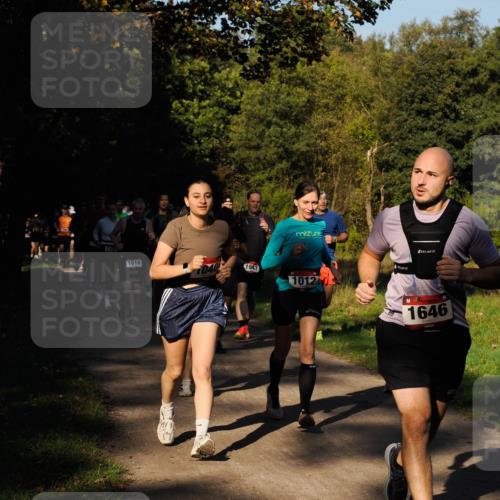 28.09.2025 - 33. Volkslauf durch das schöne Alstertal Fabian Wolf http://msf.ph/oto/8978168 28.09.2025 10:04:43 Laufen 1123, 1614, 1040, 1647, 1012, 1646 meine-sportfotos.de