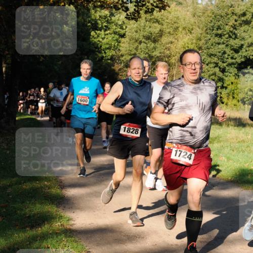 28.09.2025 - 33. Volkslauf durch das schöne Alstertal Fabian Wolf http://msf.ph/oto/8978263 28.09.2025 10:05:20 Laufen 170, 1600, 1828, 1724 meine-sportfotos.de