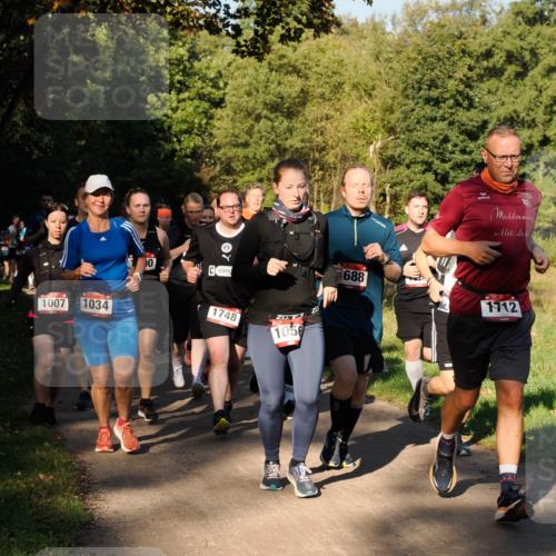 28.09.2025 - 33. Volkslauf durch das schöne Alstertal Fabian Wolf http://msf.ph/oto/8978293 28.09.2025 10:05:33 Laufen 1007, 1034, 0, 78, 1748, 1056, 688, 1712 meine-sportfotos.de