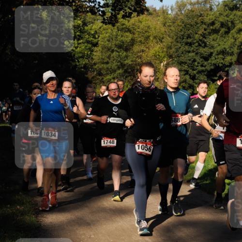 28.09.2025 - 33. Volkslauf durch das schöne Alstertal Fabian Wolf http://msf.ph/oto/8978295 28.09.2025 10:05:34 Laufen 1533, 1034, 1748, 1056, 688, 1 meine-sportfotos.de