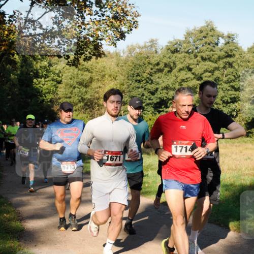 28.09.2025 - 33. Volkslauf durch das schöne Alstertal Fabian Wolf http://msf.ph/oto/8978337 28.09.2025 10:05:50 Laufen 1697, 1713, 1671, 1714 meine-sportfotos.de