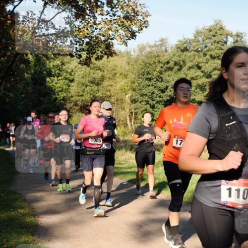 28.09.2025 - 33. Volkslauf durch das schöne Alstertal Fabian Wolf http://msf.ph/oto/8978370 28.09.2025 10:06:05 Laufen 1072, 1650, 1076, 1085, 702, 17, 110 meine-sportfotos.de