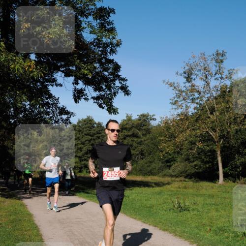 28.09.2025 - 33. Volkslauf durch das schöne Alstertal Fabian Wolf http://msf.ph/oto/8978503 28.09.2025 10:23:32 Laufen 2479, 2455 meine-sportfotos.de