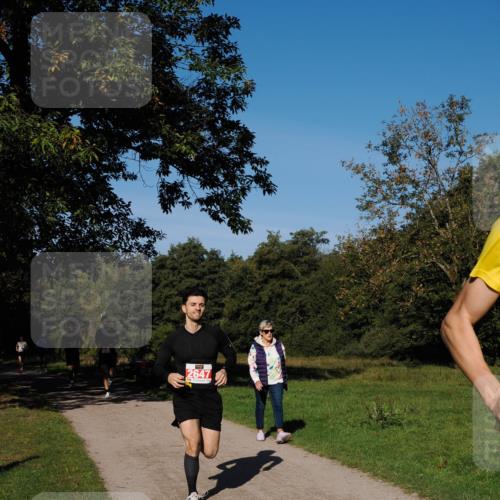 28.09.2025 - 33. Volkslauf durch das schöne Alstertal Fabian Wolf http://msf.ph/oto/8978526 28.09.2025 10:23:39 Laufen 2647 meine-sportfotos.de