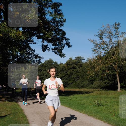 28.09.2025 - 33. Volkslauf durch das schöne Alstertal Fabian Wolf http://msf.ph/oto/8978549 28.09.2025 10:23:53 Laufen 2635, 2405 meine-sportfotos.de