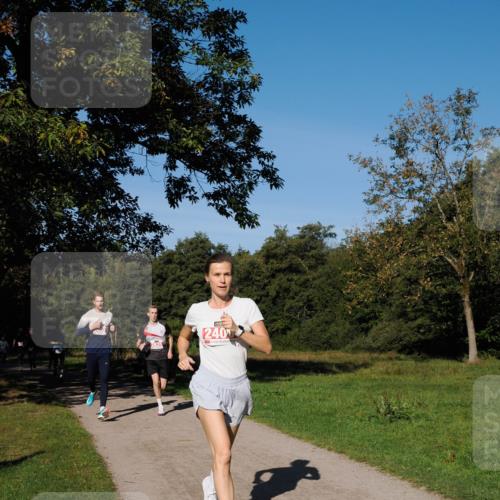 28.09.2025 - 33. Volkslauf durch das schöne Alstertal Fabian Wolf http://msf.ph/oto/8978550 28.09.2025 10:23:53 Laufen 240 meine-sportfotos.de