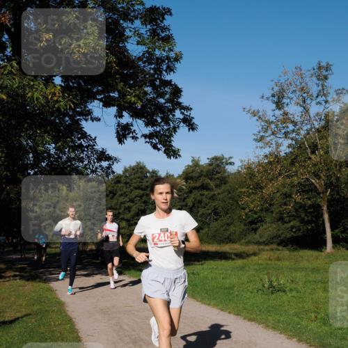 28.09.2025 - 33. Volkslauf durch das schöne Alstertal Fabian Wolf http://msf.ph/oto/8978551 28.09.2025 10:23:53 Laufen 240 meine-sportfotos.de