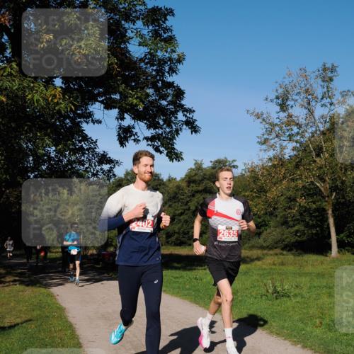28.09.2025 - 33. Volkslauf durch das schöne Alstertal Fabian Wolf http://msf.ph/oto/8978555 28.09.2025 10:23:55 Laufen 2402, 2635 meine-sportfotos.de