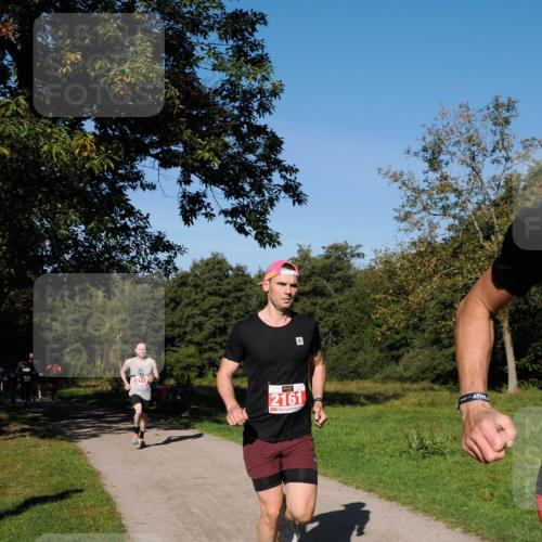 28.09.2025 - 33. Volkslauf durch das schöne Alstertal Fabian Wolf http://msf.ph/oto/8978572 28.09.2025 10:24:01 Laufen 2161 meine-sportfotos.de