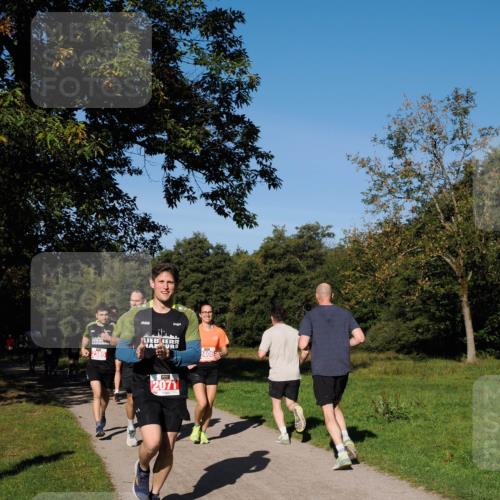 28.09.2025 - 33. Volkslauf durch das schöne Alstertal Fabian Wolf http://msf.ph/oto/8978592 28.09.2025 10:24:08 Laufen 2385, 406, 2071 meine-sportfotos.de