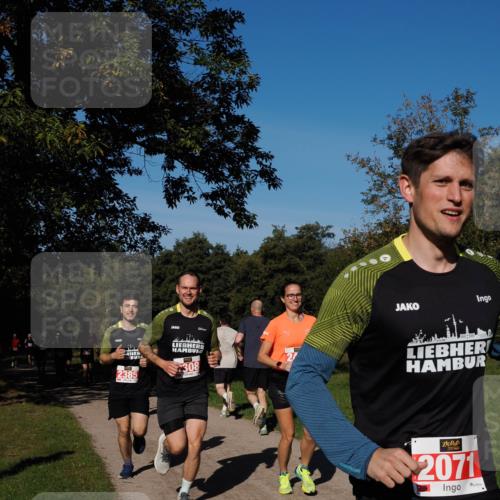 28.09.2025 - 33. Volkslauf durch das schöne Alstertal Fabian Wolf http://msf.ph/oto/8978602 28.09.2025 10:24:09 Laufen 2385, 308, 2071 meine-sportfotos.de