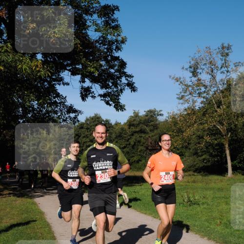 28.09.2025 - 33. Volkslauf durch das schöne Alstertal Fabian Wolf http://msf.ph/oto/8978605 28.09.2025 10:24:10 Laufen 2385, 230, 2406 meine-sportfotos.de