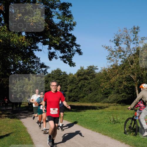 28.09.2025 - 33. Volkslauf durch das schöne Alstertal Fabian Wolf http://msf.ph/oto/8978620 28.09.2025 10:24:14 Laufen 2500 meine-sportfotos.de