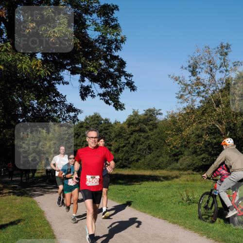 28.09.2025 - 33. Volkslauf durch das schöne Alstertal Fabian Wolf http://msf.ph/oto/8978621 28.09.2025 10:24:14 Laufen 2500 meine-sportfotos.de