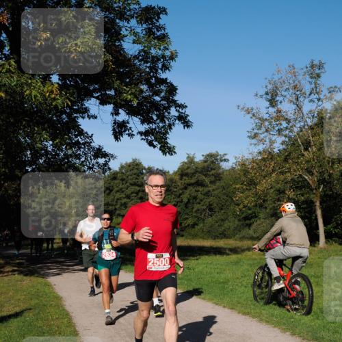 28.09.2025 - 33. Volkslauf durch das schöne Alstertal Fabian Wolf http://msf.ph/oto/8978624 28.09.2025 10:24:14 Laufen 2634, 2500 meine-sportfotos.de