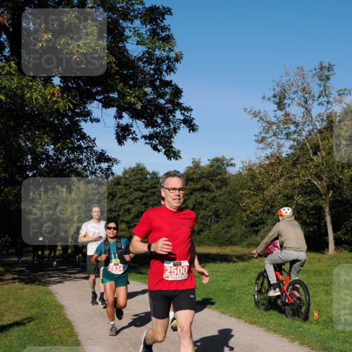 28.09.2025 - 33. Volkslauf durch das schöne Alstertal Fabian Wolf http://msf.ph/oto/8978625 28.09.2025 10:24:14 Laufen 2634, 2500 meine-sportfotos.de