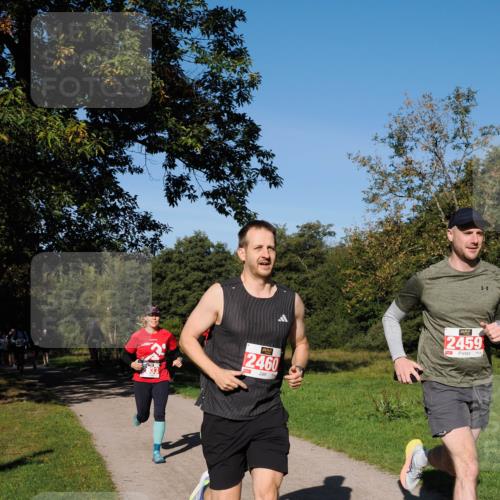 28.09.2025 - 33. Volkslauf durch das schöne Alstertal Fabian Wolf http://msf.ph/oto/8978644 28.09.2025 10:24:20 Laufen 2460, 2459 meine-sportfotos.de