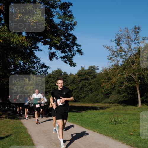28.09.2025 - 33. Volkslauf durch das schöne Alstertal Fabian Wolf http://msf.ph/oto/8978665 28.09.2025 10:24:29 Laufen  meine-sportfotos.de