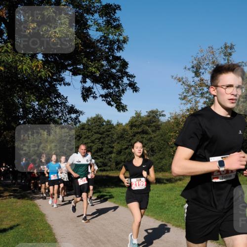 28.09.2025 - 33. Volkslauf durch das schöne Alstertal Fabian Wolf http://msf.ph/oto/8978676 28.09.2025 10:24:30 Laufen 2199 meine-sportfotos.de