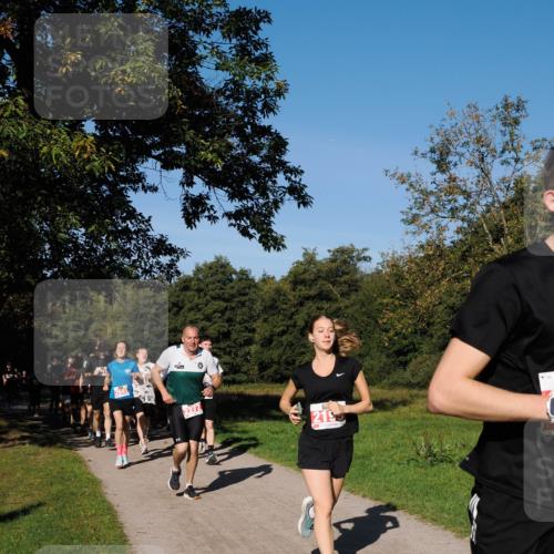 28.09.2025 - 33. Volkslauf durch das schöne Alstertal Fabian Wolf http://msf.ph/oto/8978677 28.09.2025 10:24:30 Laufen 5, 2272, 219 meine-sportfotos.de