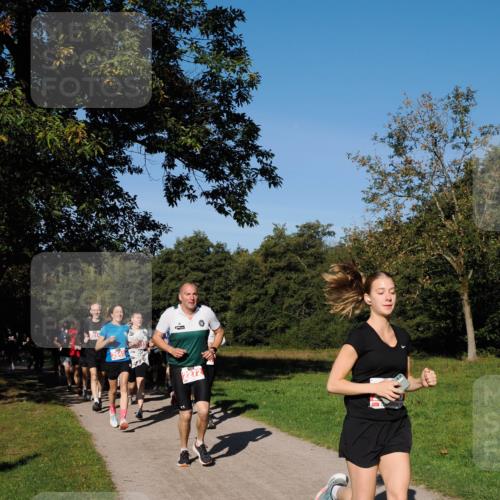 28.09.2025 - 33. Volkslauf durch das schöne Alstertal Fabian Wolf http://msf.ph/oto/8978681 28.09.2025 10:24:31 Laufen 2272 meine-sportfotos.de