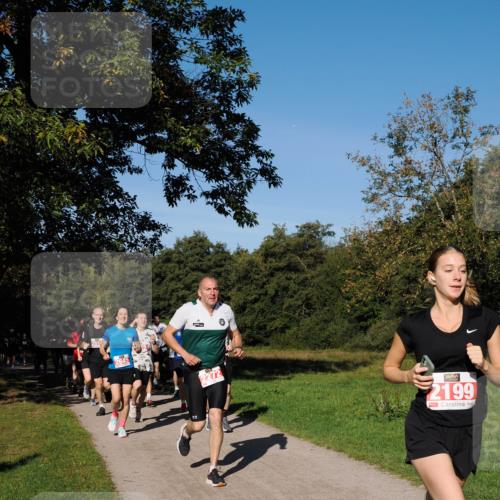 28.09.2025 - 33. Volkslauf durch das schöne Alstertal Fabian Wolf http://msf.ph/oto/8978683 28.09.2025 10:24:31 Laufen 2272, 2199 meine-sportfotos.de