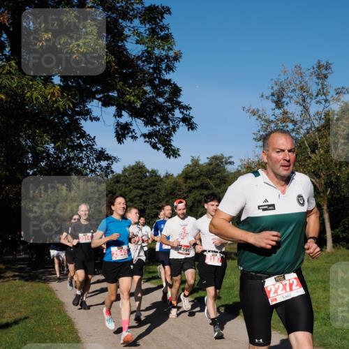 28.09.2025 - 33. Volkslauf durch das schöne Alstertal Fabian Wolf http://msf.ph/oto/8978695 28.09.2025 10:24:32 Laufen 2514, 1591, 2187, 2272 meine-sportfotos.de