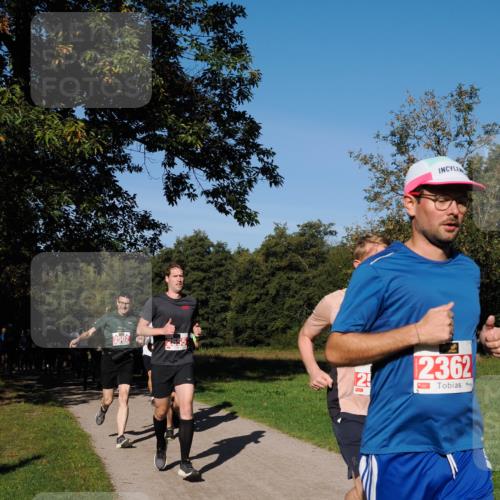 28.09.2025 - 33. Volkslauf durch das schöne Alstertal Fabian Wolf http://msf.ph/oto/8978821 28.09.2025 10:25:00 Laufen 2502, 2, 2362 meine-sportfotos.de