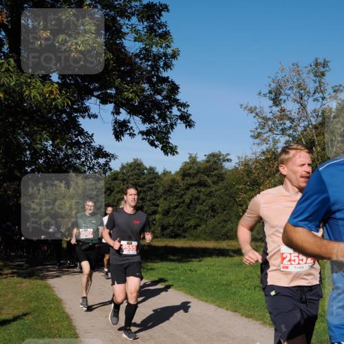 28.09.2025 - 33. Volkslauf durch das schöne Alstertal Fabian Wolf http://msf.ph/oto/8978823 28.09.2025 10:25:00 Laufen 2502, 2555, 255 meine-sportfotos.de