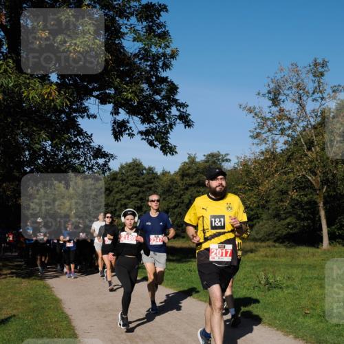28.09.2025 - 33. Volkslauf durch das schöne Alstertal Fabian Wolf http://msf.ph/oto/8978861 28.09.2025 10:25:04 Laufen 2180, 1, 1, 2347, 2017 meine-sportfotos.de