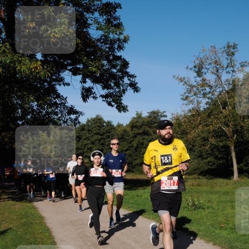 28.09.2025 - 33. Volkslauf durch das schöne Alstertal Fabian Wolf http://msf.ph/oto/8978862 28.09.2025 10:25:04 Laufen 2180, 2315, 299, 2347, 1, 1, 2017 meine-sportfotos.de