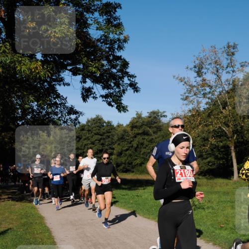 28.09.2025 - 33. Volkslauf durch das schöne Alstertal Fabian Wolf http://msf.ph/oto/8978865 28.09.2025 10:25:05 Laufen 315, 2279, 2180 meine-sportfotos.de