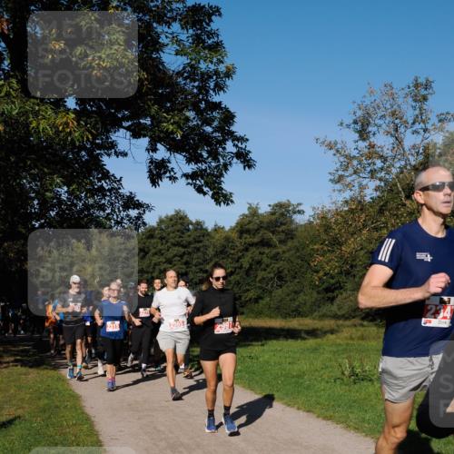 28.09.2025 - 33. Volkslauf durch das schöne Alstertal Fabian Wolf http://msf.ph/oto/8978866 28.09.2025 10:25:06 Laufen 2315, 2279, 2565, 234 meine-sportfotos.de