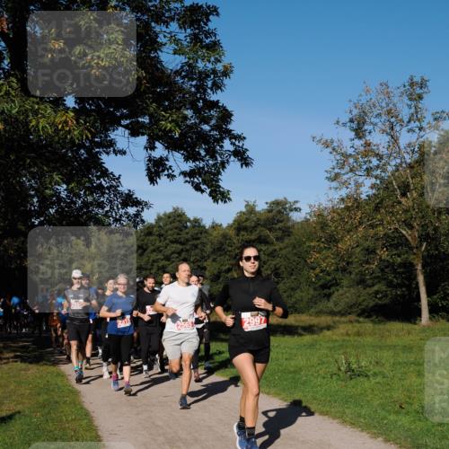 28.09.2025 - 33. Volkslauf durch das schöne Alstertal Fabian Wolf http://msf.ph/oto/8978870 28.09.2025 10:25:06 Laufen 255, 2315, 2997 meine-sportfotos.de