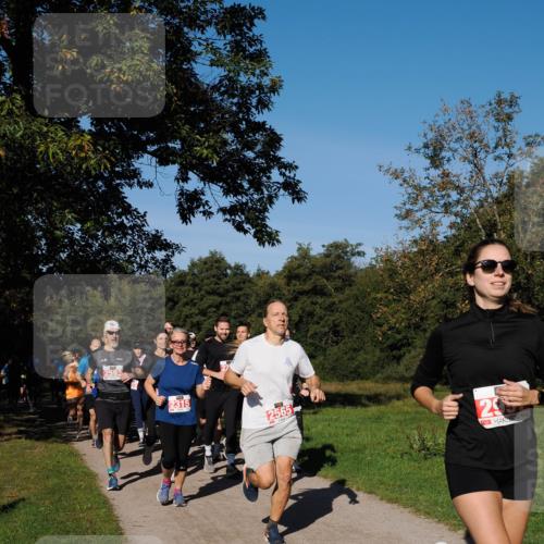 28.09.2025 - 33. Volkslauf durch das schöne Alstertal Fabian Wolf http://msf.ph/oto/8978874 28.09.2025 10:25:07 Laufen 2593, 2315, 2565, 295 meine-sportfotos.de