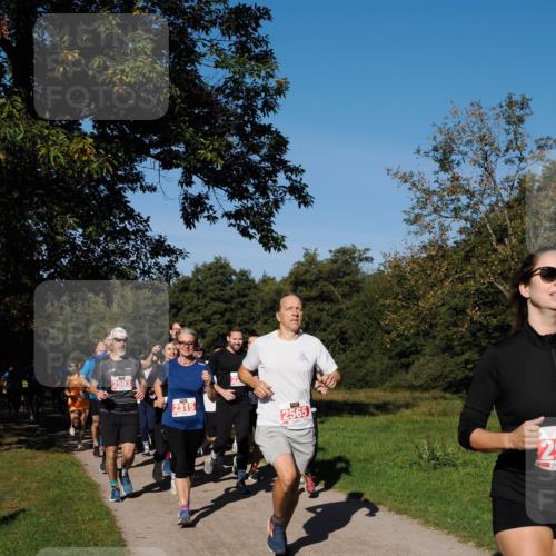 28.09.2025 - 33. Volkslauf durch das schöne Alstertal Fabian Wolf http://msf.ph/oto/8978875 28.09.2025 10:25:07 Laufen 2593, 2315, 2565, 29 meine-sportfotos.de