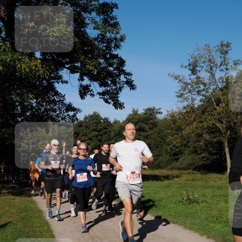 28.09.2025 - 33. Volkslauf durch das schöne Alstertal Fabian Wolf http://msf.ph/oto/8978876 28.09.2025 10:25:07 Laufen 2593, 2315, 2565 meine-sportfotos.de