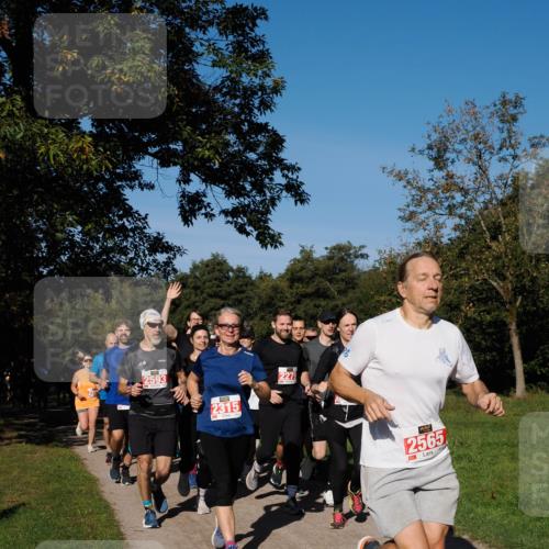 28.09.2025 - 33. Volkslauf durch das schöne Alstertal Fabian Wolf http://msf.ph/oto/8978881 28.09.2025 10:25:08 Laufen 2593, 2315, 2279, 2565 meine-sportfotos.de