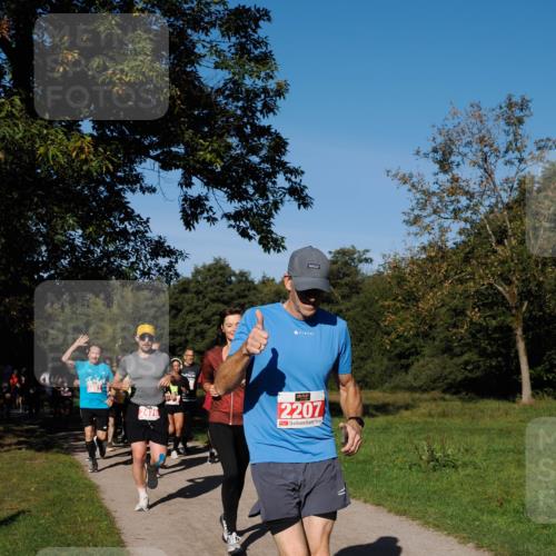 28.09.2025 - 33. Volkslauf durch das schöne Alstertal Fabian Wolf http://msf.ph/oto/8978937 28.09.2025 10:25:15 Laufen 2476, 2207, 2030 meine-sportfotos.de