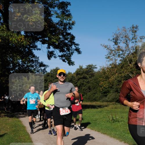 28.09.2025 - 33. Volkslauf durch das schöne Alstertal Fabian Wolf http://msf.ph/oto/8978948 28.09.2025 10:25:16 Laufen 2551, 2476, 2030 meine-sportfotos.de