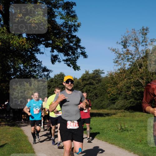 28.09.2025 - 33. Volkslauf durch das schöne Alstertal Fabian Wolf http://msf.ph/oto/8978949 28.09.2025 10:25:17 Laufen 2476 meine-sportfotos.de