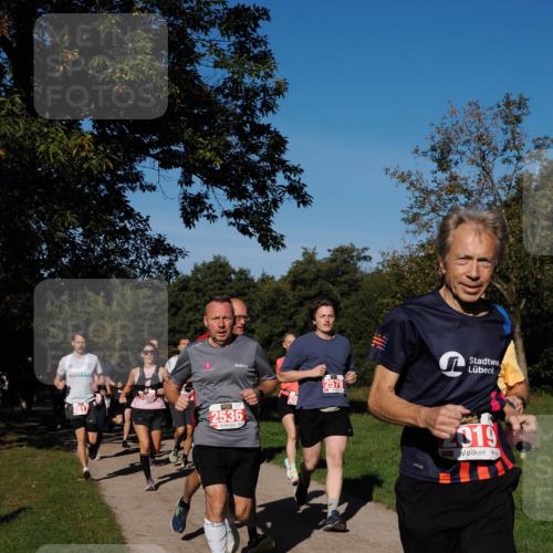 28.09.2025 - 33. Volkslauf durch das schöne Alstertal Fabian Wolf http://msf.ph/oto/8978966 28.09.2025 10:25:20 Laufen 2579, 2617, 2536, 019 meine-sportfotos.de