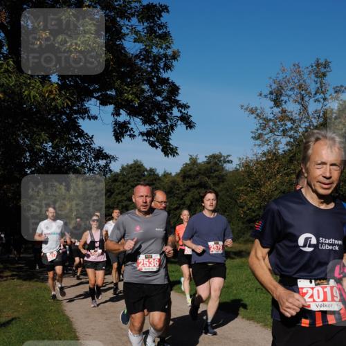 28.09.2025 - 33. Volkslauf durch das schöne Alstertal Fabian Wolf http://msf.ph/oto/8978967 28.09.2025 10:25:20 Laufen 2617, 209, 2536, 2579, 201, 2019 meine-sportfotos.de