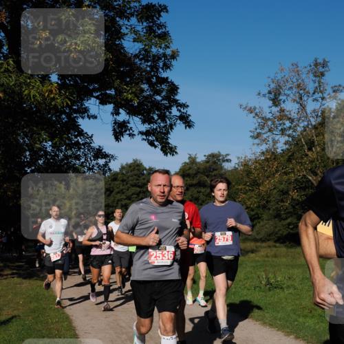 28.09.2025 - 33. Volkslauf durch das schöne Alstertal Fabian Wolf http://msf.ph/oto/8978969 28.09.2025 10:25:20 Laufen 261, 2536, 2086, 2579 meine-sportfotos.de